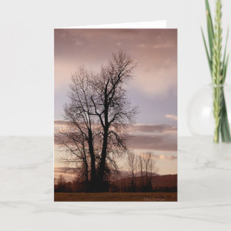 日の端として カード