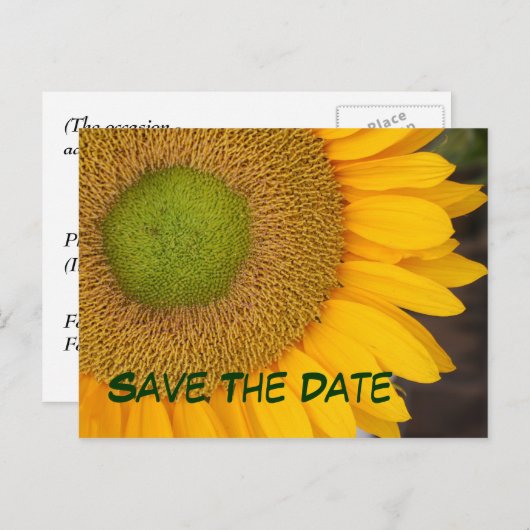 日ひまわり写真はがきを保存 案内ポストカード (正面/裏面)