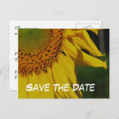 日ひまわり花フォトポストカードの保存 案内ポストカード (正面/裏面)