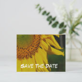 日ひまわり花フォトポストカードの保存 案内ポストカード (スタンド正面)