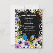 日カラフル付を除いて青い鳥と植物学 (正面)