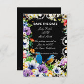 日カラフル付を除いて青い鳥と植物学 (正面/裏面)