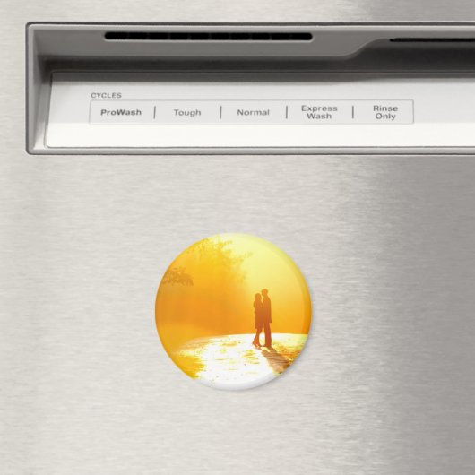 日キスをする光の中でカップル マグネット (インサイチュ (食洗機))