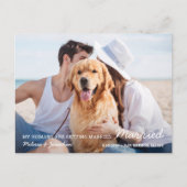 日シンプル付結婚を除いたペットの犬 案内ポストカード (正面)