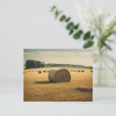 日中のフィールドの干し草のベールの丸い ポストカード (スタンド正面)