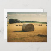 日中のフィールドの干し草のベールの丸い ポストカード (正面/裏面)