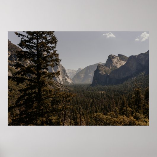 日中の山間付近の緑の木 ポスター (正面)