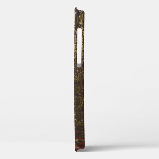 日中の閉じた茶色の木製ドア Case-Mate iPhoneケース (裏面 / 左)