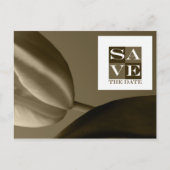 日付のイベントと結婚はがきを保存 案内ポストカード (正面)