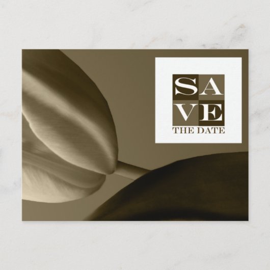 日付のイベントと結婚はがきを保存 案内ポストカード (正面)