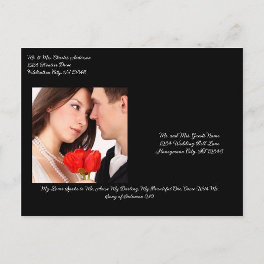 日付のエレガントなカーラユリを救って下さい 案内ポストカード (裏面)