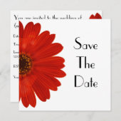 日付のデイジーを救って下さい セーブザデート (正面/裏面)