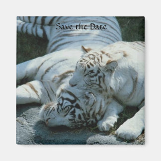 日付のホワイトタイガー磁石を保存 マグネット