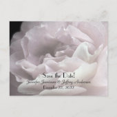 日付のポストカ結婚ードアナウンスピンクを保存 ポストカード (正面)