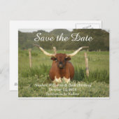 日付の保存テキサス州Longhorn 案内ポストカード (正面/裏面)