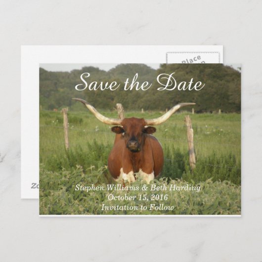 日付の保存テキサス州Longhorn 案内ポストカード (正面/裏面)