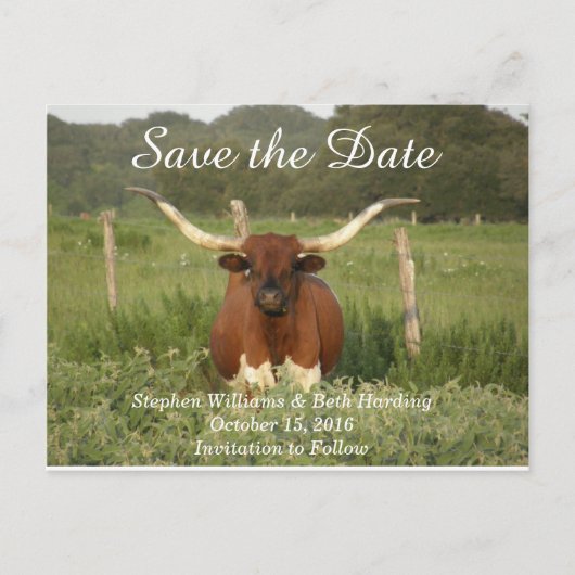 日付の保存テキサス州Longhorn 案内ポストカード (正面)