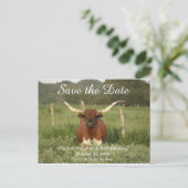 日付の保存テキサス州Longhorn 案内ポストカード (スタンド正面)