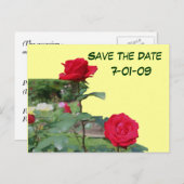 日付の保存バラ花写真はがき 案内ポストカード (正面/裏面)