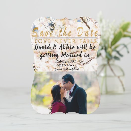 日付の保存春 (スタンド正面)