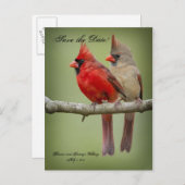 日付の保存結婚/(鳥)ショウジョウコウカンチョウペア 案内ポストカード (正面/裏面)