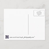 日付の保存 – シェルのビーチ 案内ポストカード (裏面)