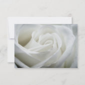 日付の保存-バラの白のテクスチャ セーブザデート (裏面)