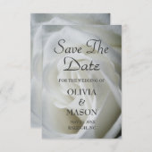 日付の保存-バラの白のテクスチャ セーブザデート (正面/裏面)