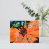 日付の保存 – ポピー 案内ポストカード (スタンド正面)