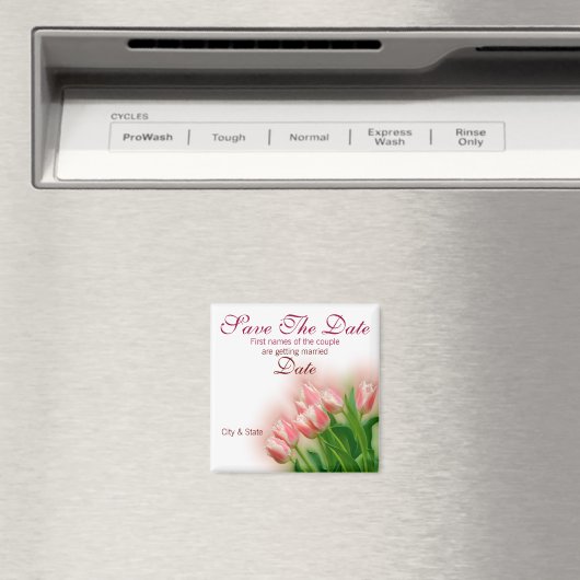 日付の保存 マグネット (インサイチュ (食洗機))
