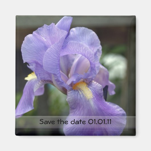 日付の保存 マグネット (正面)