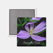 日付の保存 マグネット (正面/裏面)