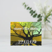 日付の保存 – ルーツ 案内ポストカード (スタンド正面)