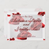 日付の保存:... 案内ポストカード (正面/裏面)