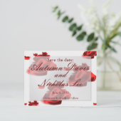 日付の保存:... 案内ポストカード (スタンド正面)