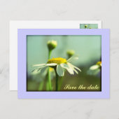 日付の保存 案内ポストカード (正面/裏面)