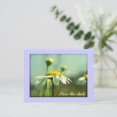 日付の保存 案内ポストカード (スタンド正面)