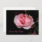 日付の保存 案内ポストカード (正面/裏面)