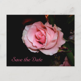 日付の保存 案内ポストカード