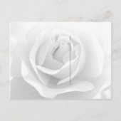 日付の保存 案内ポストカード (裏面)