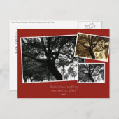 日付の保存 案内ポストカード (正面/裏面)