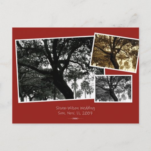 日付の保存 案内ポストカード (正面)