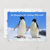 日付の保存 案内ポストカード (正面/裏面)