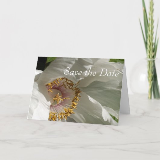 日付の保存 案内状 (正面)