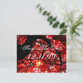 日付の保存 – 紅葉 案内ポストカード (スタンド正面)