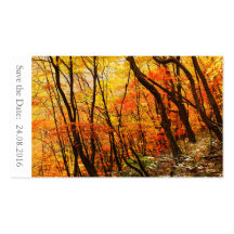 日付の保存Autumn / 秋の結婚式100カード