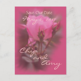 日付の保存Pkノックアウトバラ – 任意の大事な行事 案内ポストカード