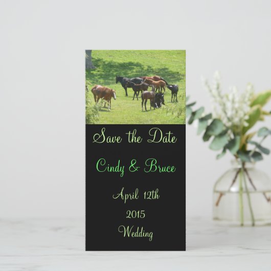 日付の写真カードを救って下さい セーブザデート (スタンド正面)