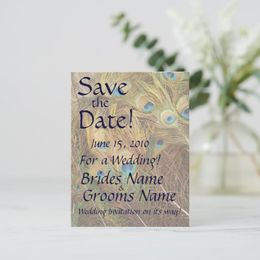 日付の孔雀はがきを保存 案内ポストカード (スタンド正面)