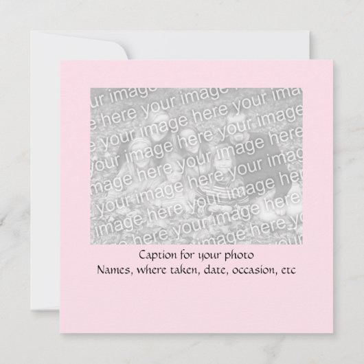 日付の熱帯結婚式を救って下さい セーブザデート (裏面)